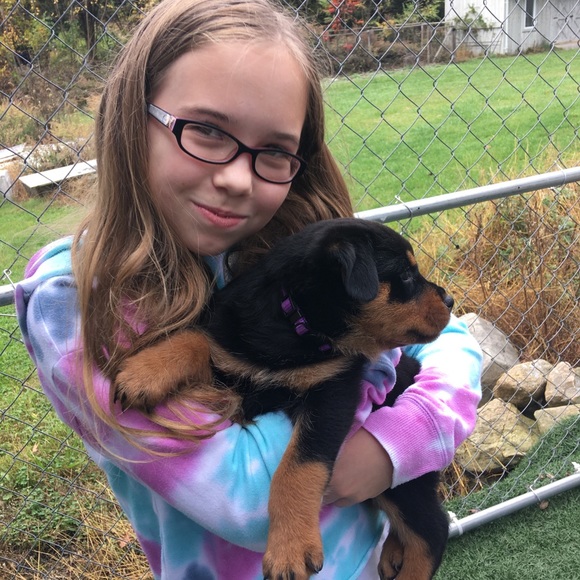 Meet your Posher, Jenni - Picture 2 of 5